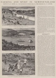 Farming and Sport in Newfoundland